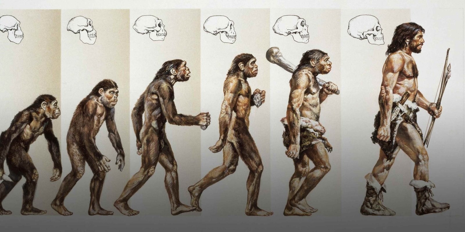 Ancient Human
